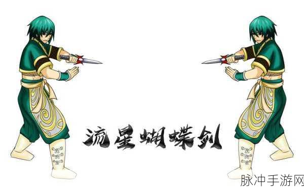 流星蝴蝶剑双匕合璧,战斗新境界的钥匙