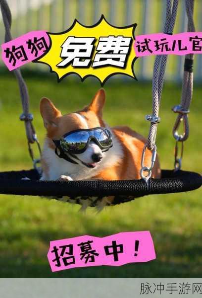 萌宠相伴，消除烦恼！小狗爱旅行带你畅游消除新世界