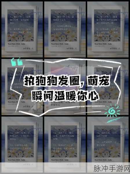 萌宠相伴,消除烦恼!小狗爱旅行带你畅游消除新世界