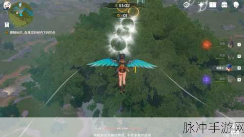 原神飞行考试第一关通关秘籍，轻松翱翔天际