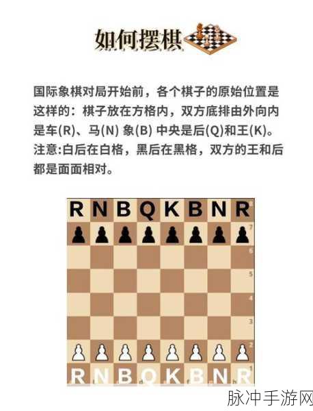 国际象棋大师，大师版，棋盘上的智者风云