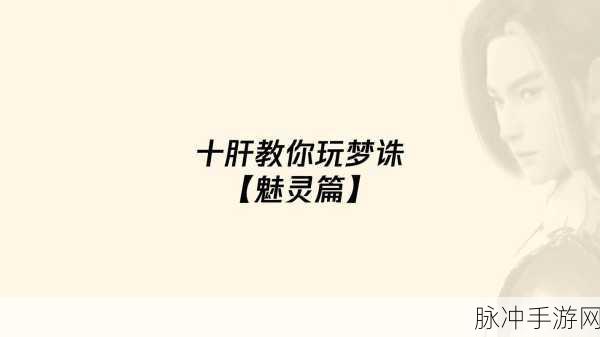 梦幻新诛仙探灵之旅，解锁奖励奥秘，探寻未知惊喜