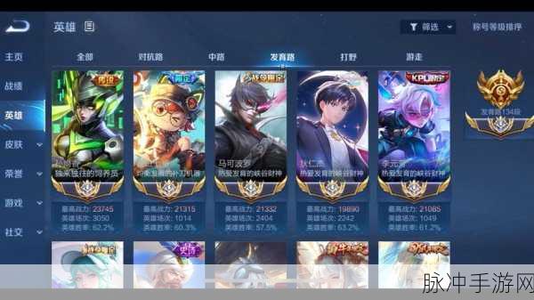 王者荣耀个人主页段位标记，彰显荣耀，解锁新风采