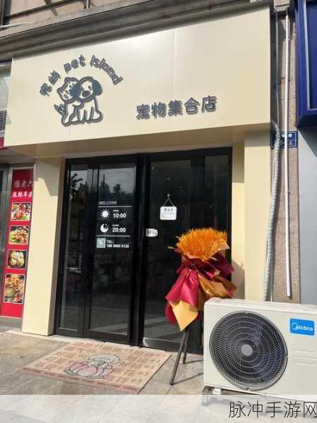 宠物托管所手机版来袭，打造你的梦幻宠物王国
