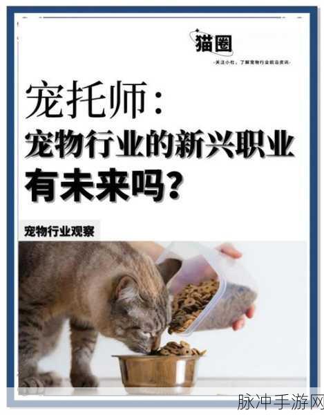 宠物托管所手机版来袭,打造你的梦幻宠物王国