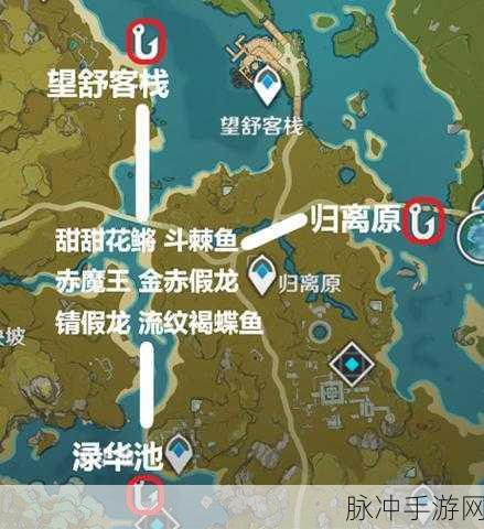 原神钓鱼攻略，金赤假龙钓取位置与鱼饵详解