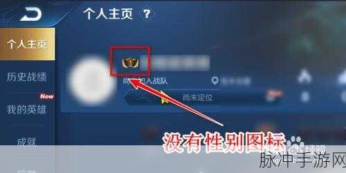 王者荣耀主页隐藏信息解除全攻略