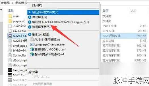 使命召唤6秘籍解锁，全面代码与使用教程