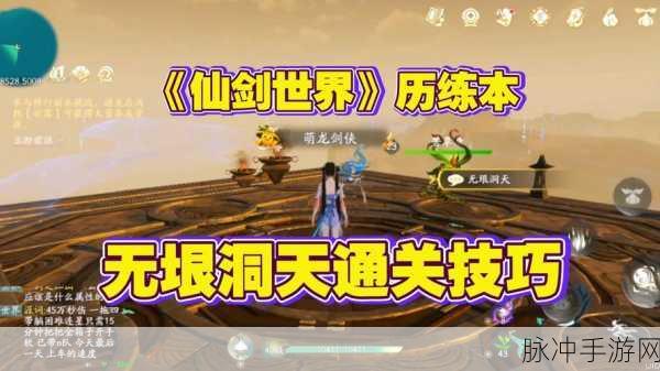 仙剑世界升级攻略大起底,飞速升级与战斗输出优化秘籍