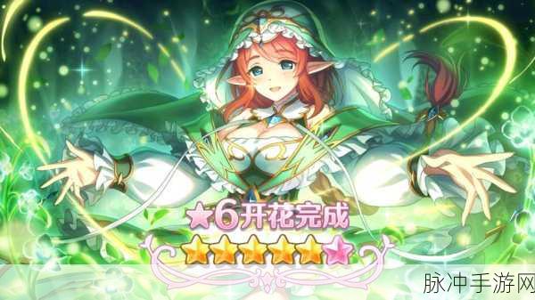 公主连结，RANK8快速提升全攻略大揭秘