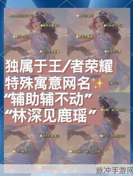 王者荣耀，探寻高冷女神玩家的专属昵称世界
