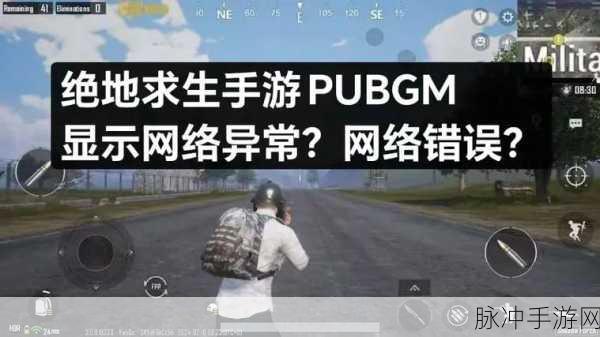 绝地求生，揭秘好友邀请不在线的离奇现象