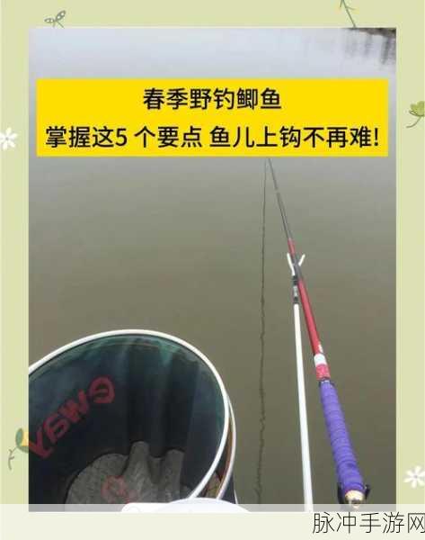 剑网3指尖江湖钓鱼秘籍，新手也能满载而归的垂钓之旅
