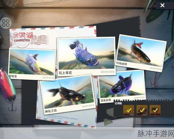 玛娜希斯回响钓鱼秘籍,解锁你的垂钓大师之路