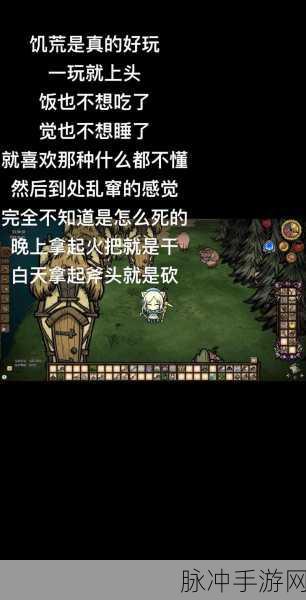 WeGame饥荒与Steam饥荒,玩家视角下的优选之争