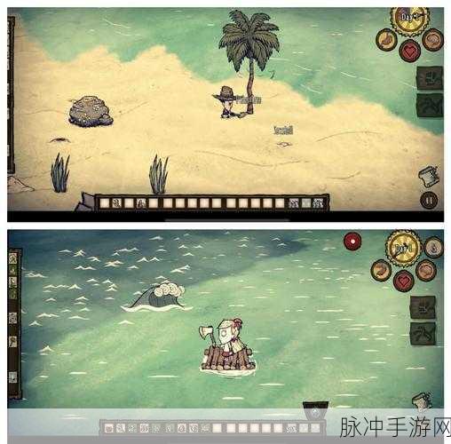 饥荒游戏深度探索，解锁生存与探险的双重艺术