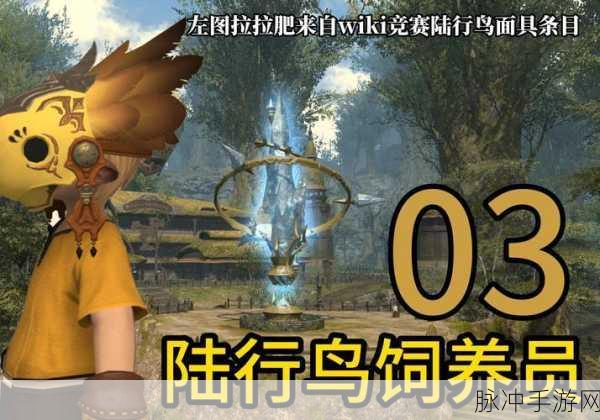 最终幻想14,解锁你的专属陆行鸟伙伴