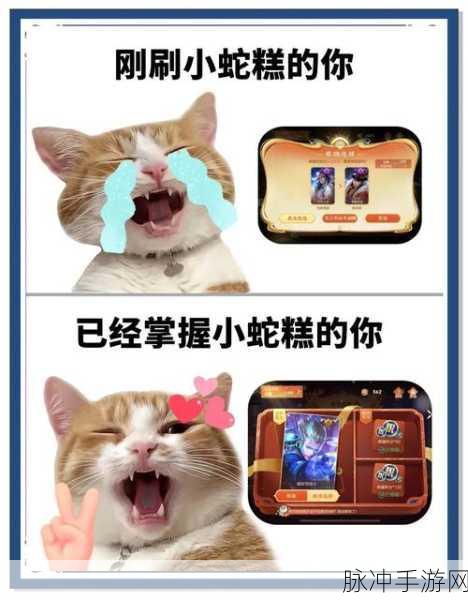 王者荣耀灵宝市集深度探索，小龙糕活动解锁传说皮肤秘籍