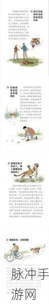 疯狂梗传，揭秘消灭老虎通关秘籍，步步为营智取猛兽全攻略