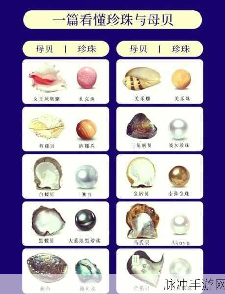 动物森友会，马氏珠母贝的奇妙用途