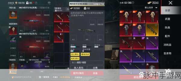 刺激战场深度探索,金币背后的神秘力量大起底